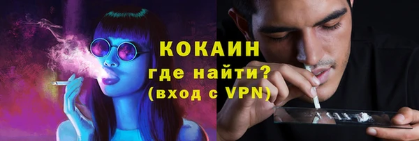 трава Пересвет