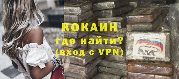трава Пересвет