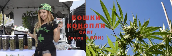 трава Пересвет