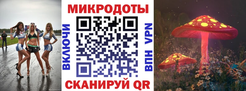 OMG онион Короча Галлюциногенные грибы Psilocybine cubensis